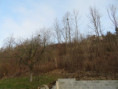 /album/fotogalerie-195-ex-1723-07/img-6029-jpg/