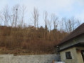 /album/fotogalerie-195-ex-1723-07/img-6030-jpg/