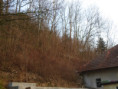 /album/fotogalerie-195-ex-1723-07/img-6033-jpg/