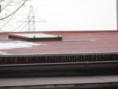 /album/fotogalerie-195-ex-117-25/img-5828-jpg/