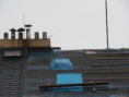 /album/fotogalerie-195-ex-117-25/img-5831-jpg/