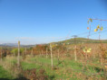 /album/fotogalerie-195-ex-83-091/img-6168-jpg1/