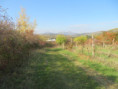 /album/fotogalerie-195-ex-83-091/img-6169-jpg1/