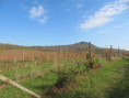 /album/fotogalerie-195-ex-83-091/img-6172-jpg1/