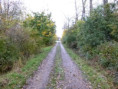 /album/fotogalerie-195-ex-1239-07-98/n09-p1350202-jpg/