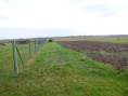 /album/fotogalerie-195-ex-1239-07-98/n18-p1350273-jpg/